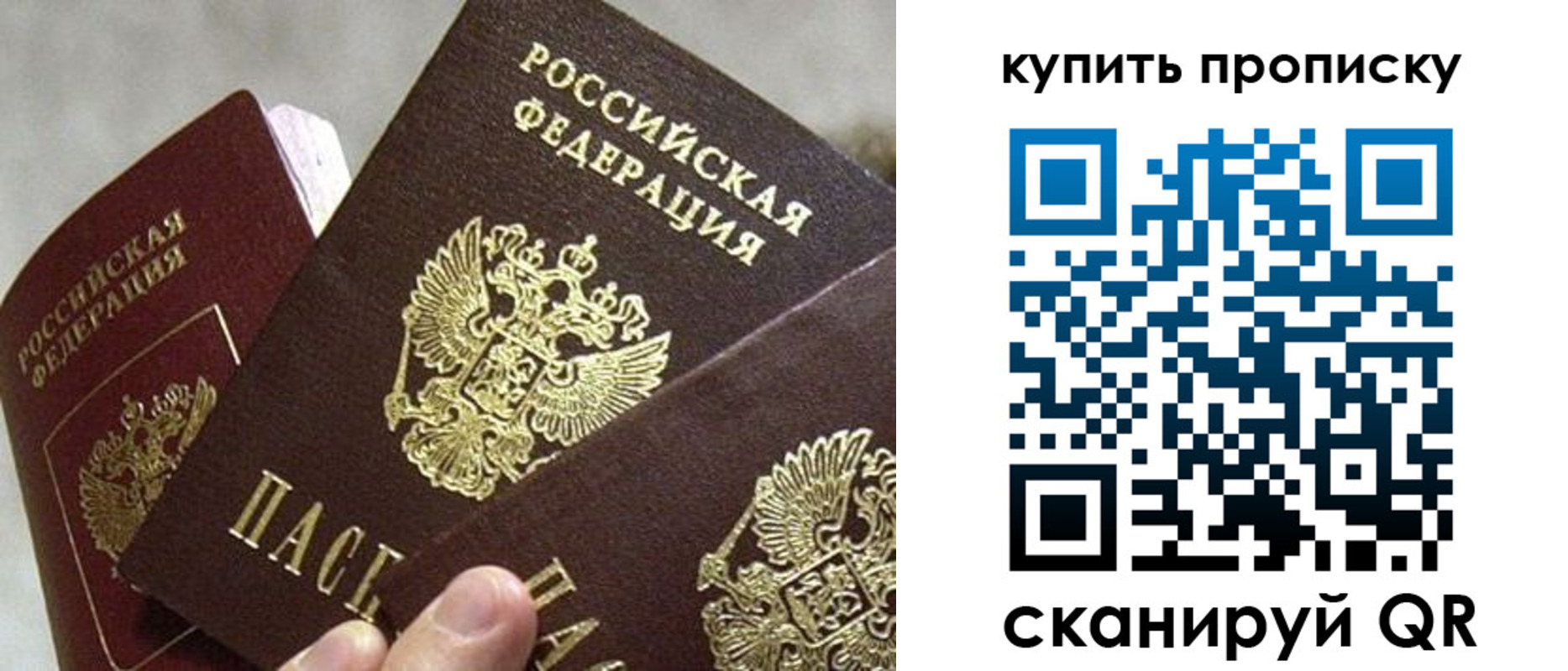 прописка для школы в Россоши